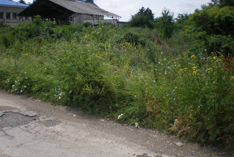 ČOV NM